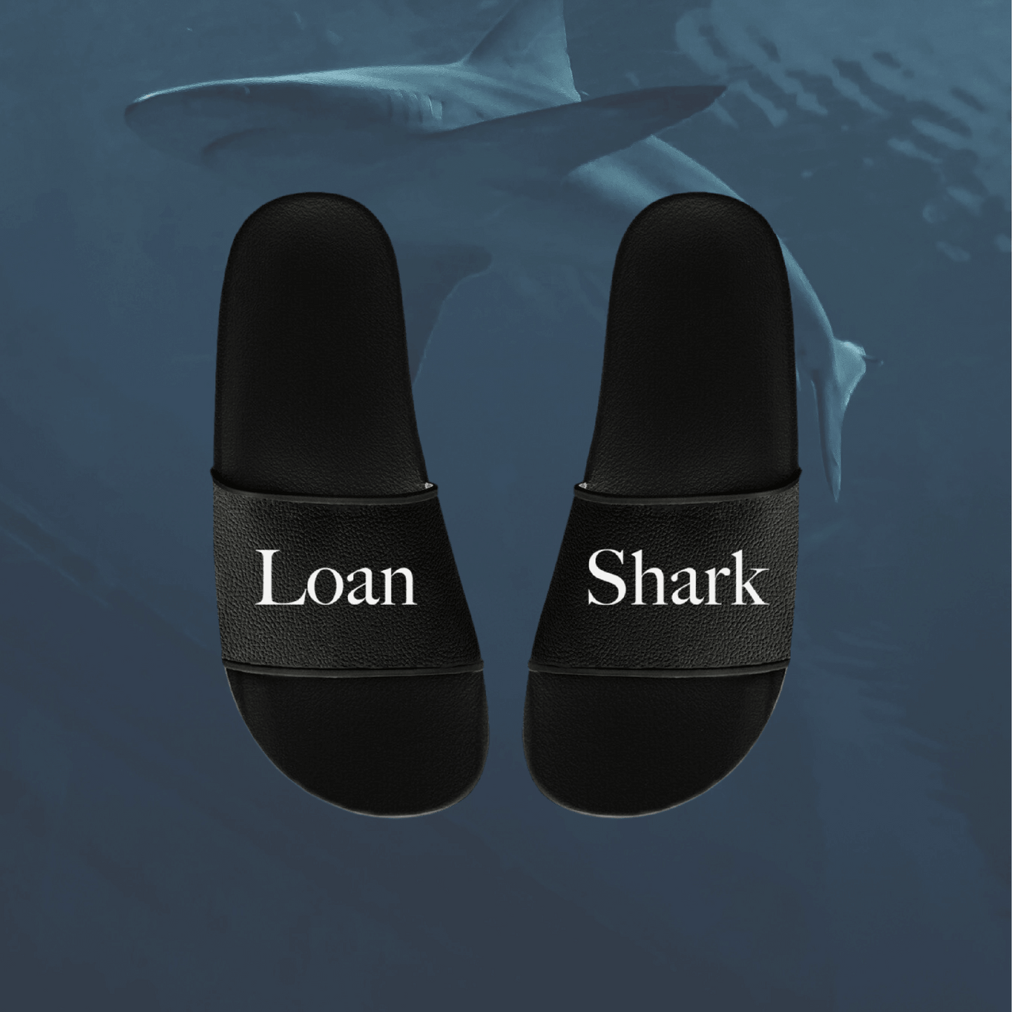 Loan Shark